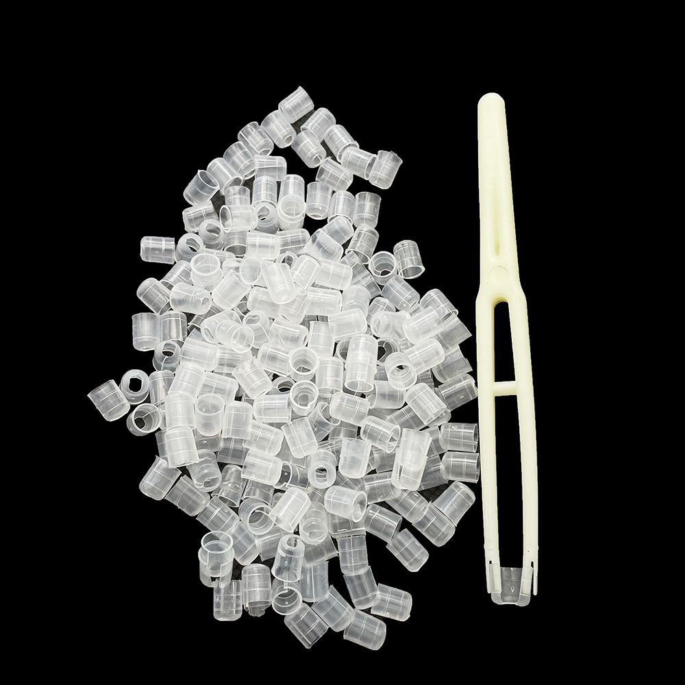 Perfume Queen - 300PCS Winter Queen Colony Stop Rear