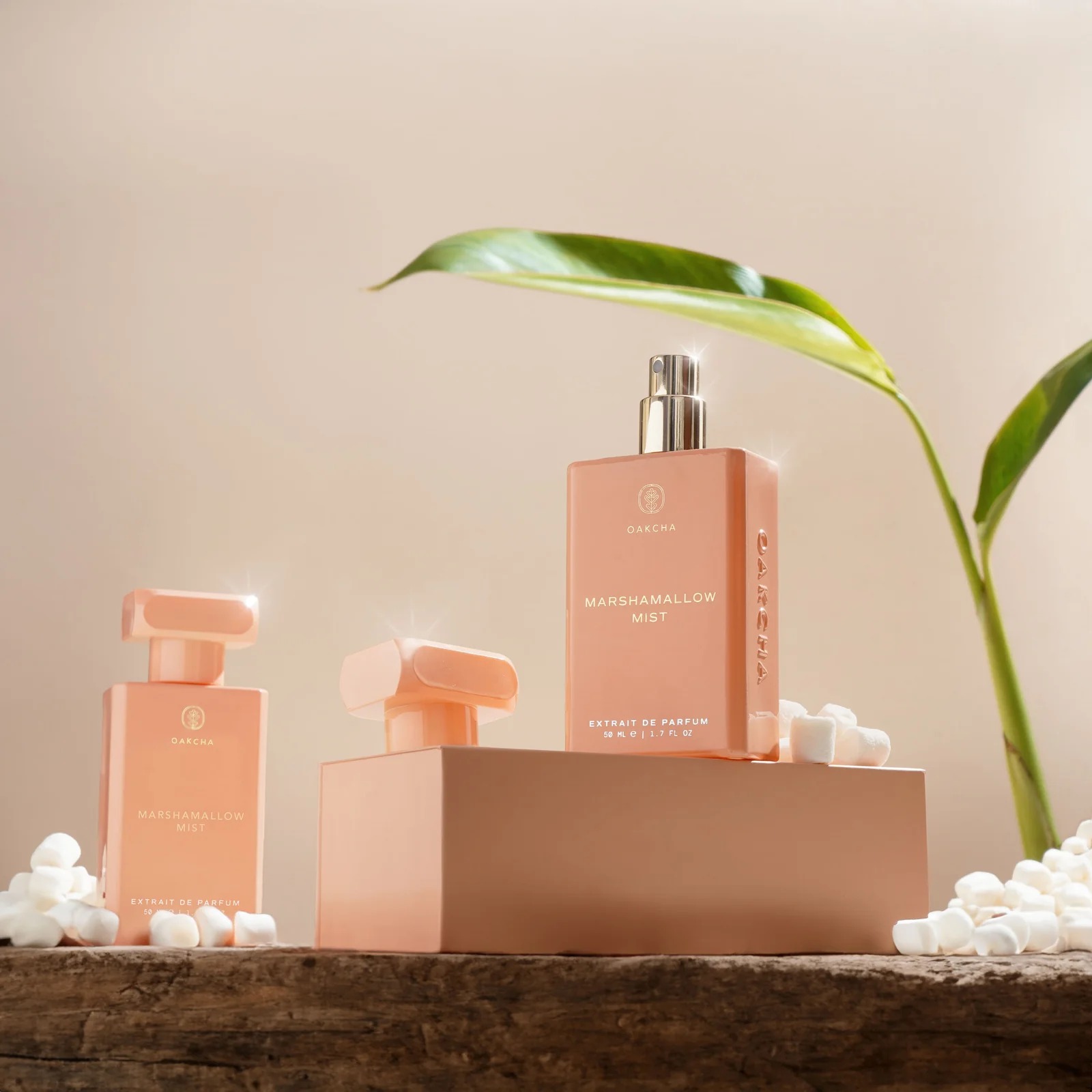 Oakcha Extrait De Parfum 50ml  - Perfume High Fragrance avis et prix